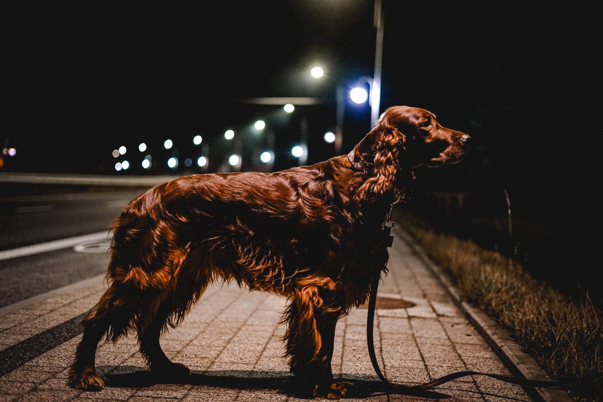 Apollo