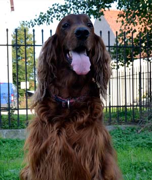 Milka