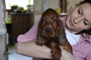 Lilu