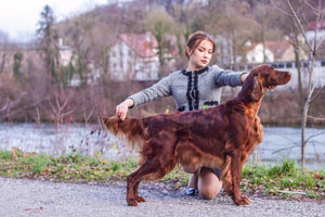 Shila
