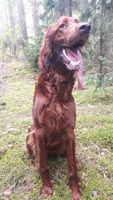 Shila